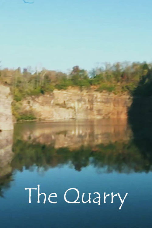 The Quarry (2011) poster