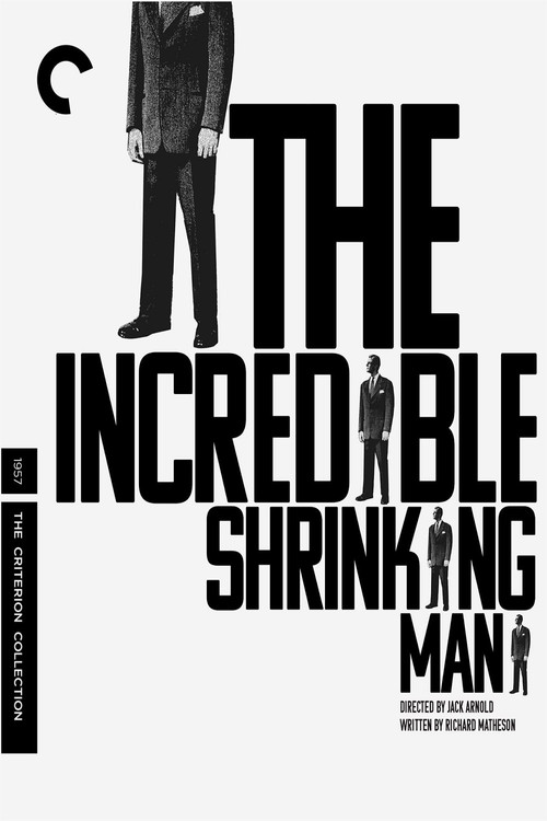 The Infinitesimal: Remembering the Shrinking Man (2021) poster