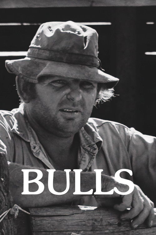 Bulls (2008) poster