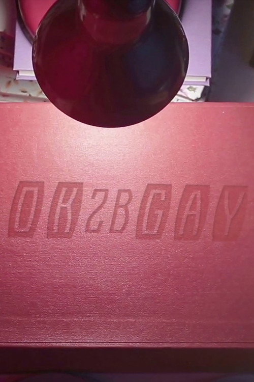 OK2BGAY (2016) poster