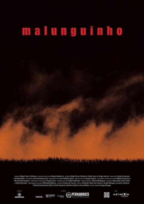 Malunguinho (2013) poster