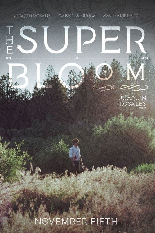 The Superbloom (2024) poster