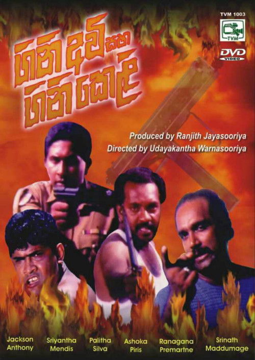 Firearms and Fireworks (1998) poster