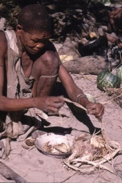 Bitter Melons (1971) poster