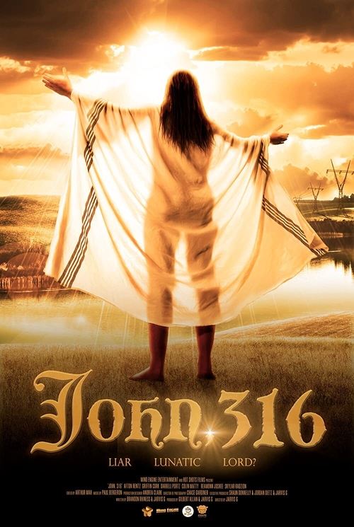 John, 316 (2021) poster