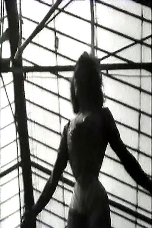 Le Friquet (1914) poster