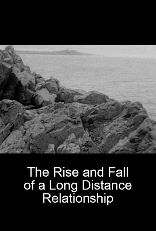 The Rise and Fall of a Long Distance Relationship (2008) poster
