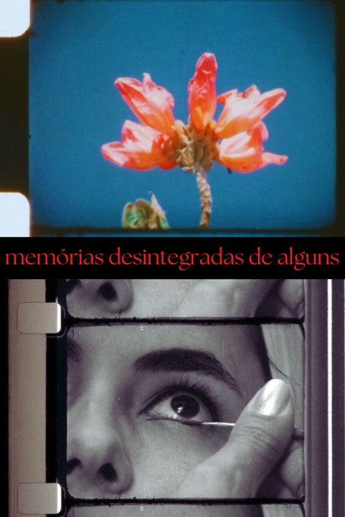 Disintegrated Memories of Some (2024) poster