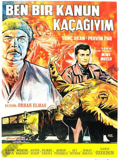 Ben Bir Kanun Kaçağıyım (1966) poster
