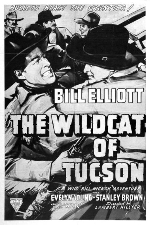 The Wildcat of Tucson (1940) poster