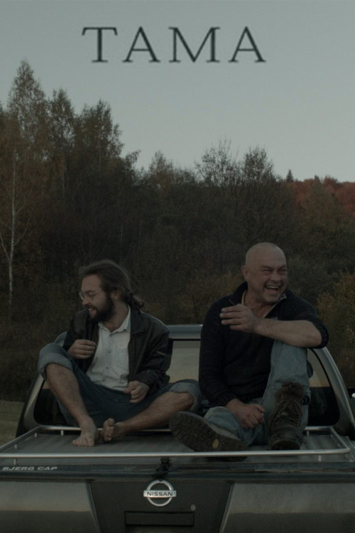 The Dam (2018) poster