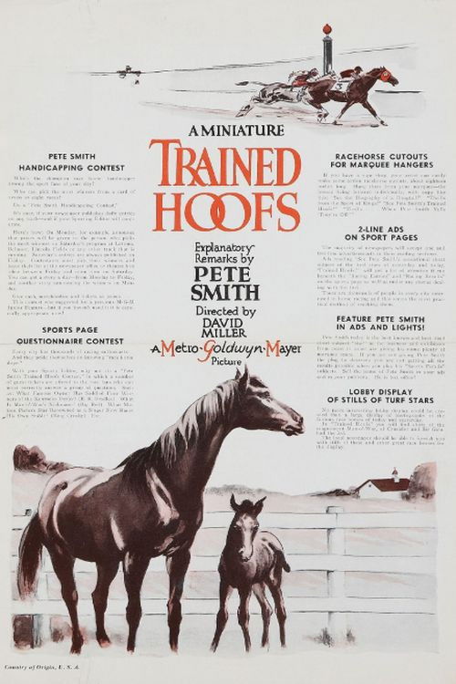 Trained Hoofs (1935) poster