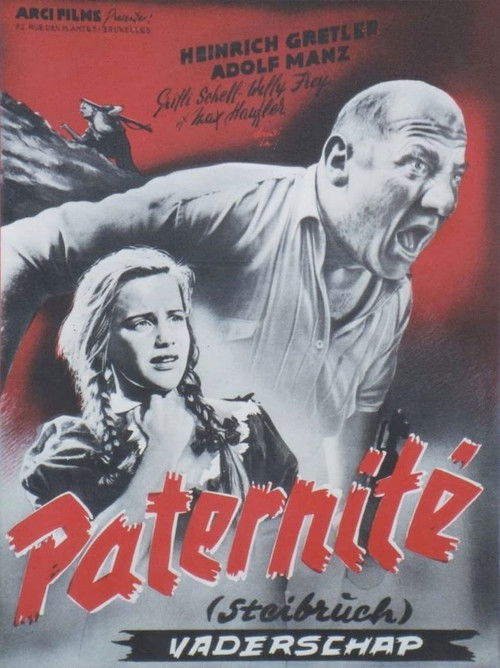 Steibruch (1942) poster