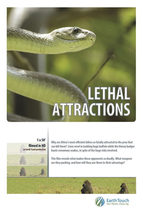 Lethal Attractions (2014) poster