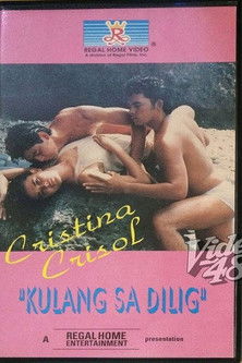 Kulang Sa Dilig (1986) poster