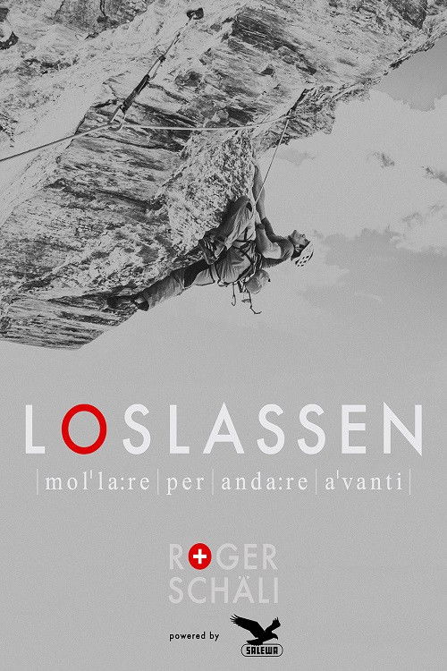 Loslassen (2013) poster