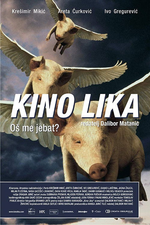 The Lika Cinema (2008) poster