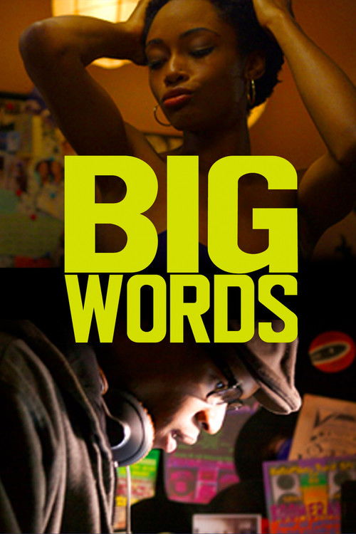 Big Words (2013) poster