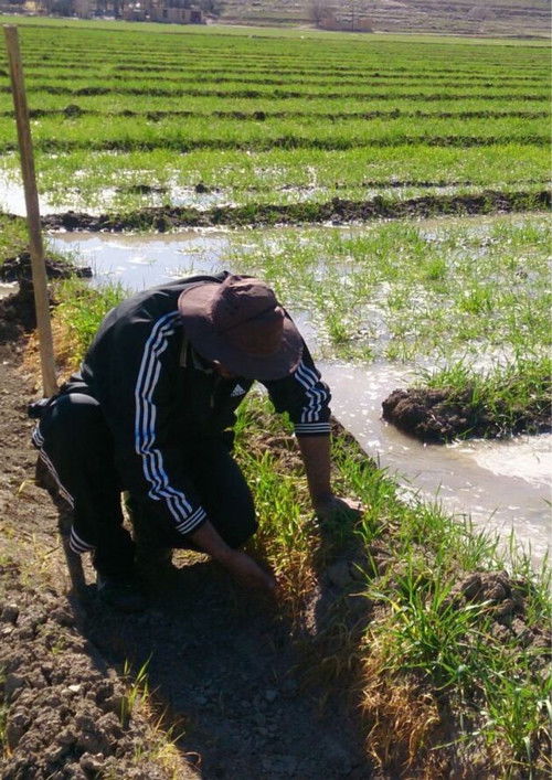 Surviving Fortress (2022) poster