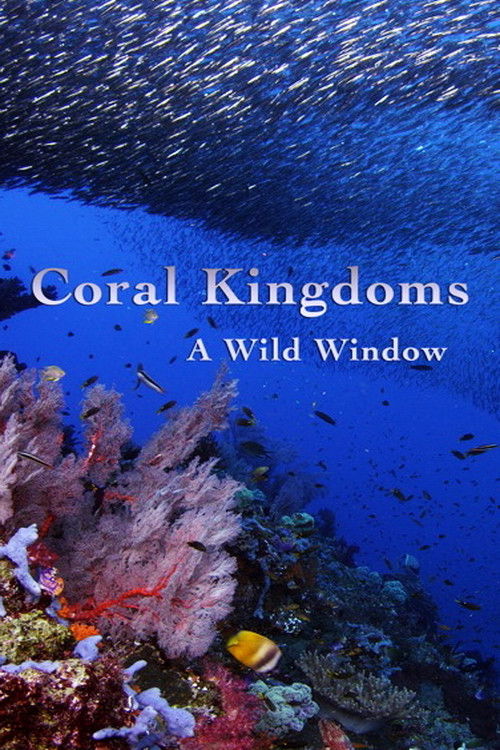 A Wild Window: Coral Kingdoms (2016) poster