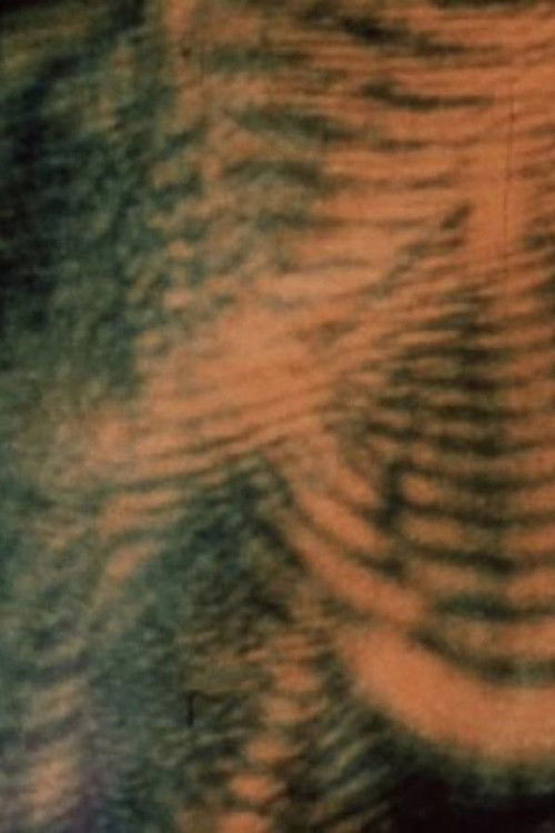 Laserimage (1972) poster