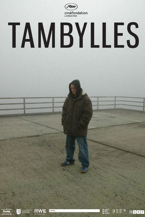 Tambylles (2012) poster