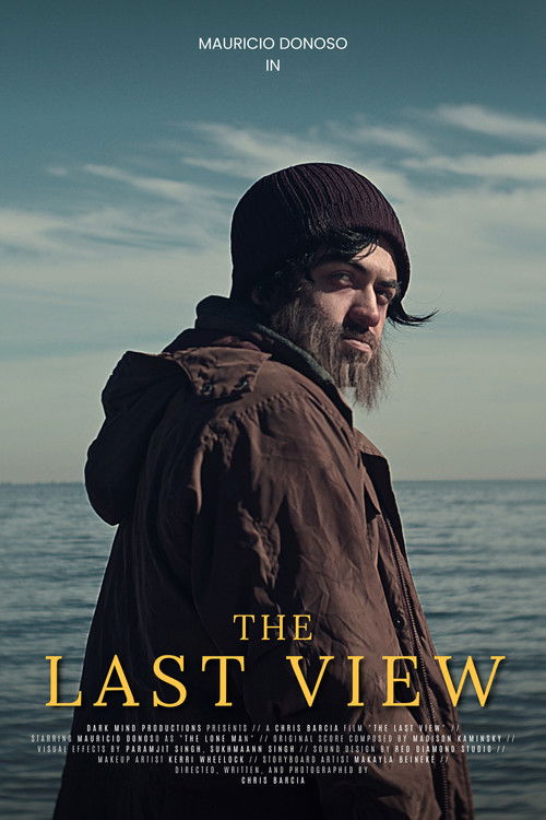 The Last View (2024) poster