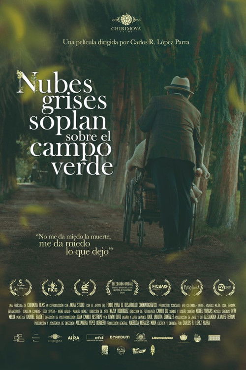 Nubes grises soplan sobre el campo verde (2023) poster
