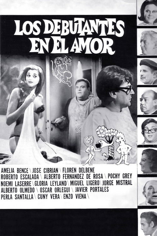 Los debutantes en el amor (1969) poster