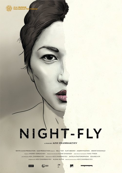 Night-Fly (2016) poster