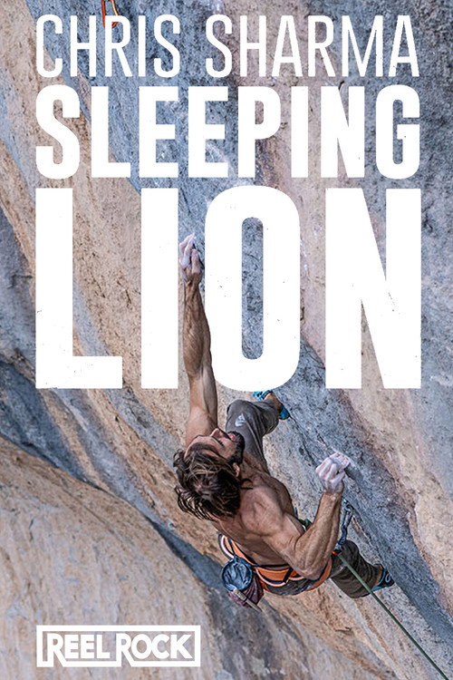 Sleeping Lion (2023) poster