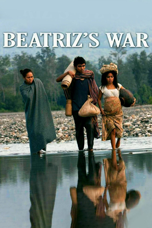 Beatriz's War (2013) poster