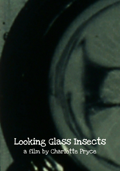 Looking Glass Insects (2013) poster