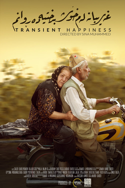 Transient Happiness (2023) poster