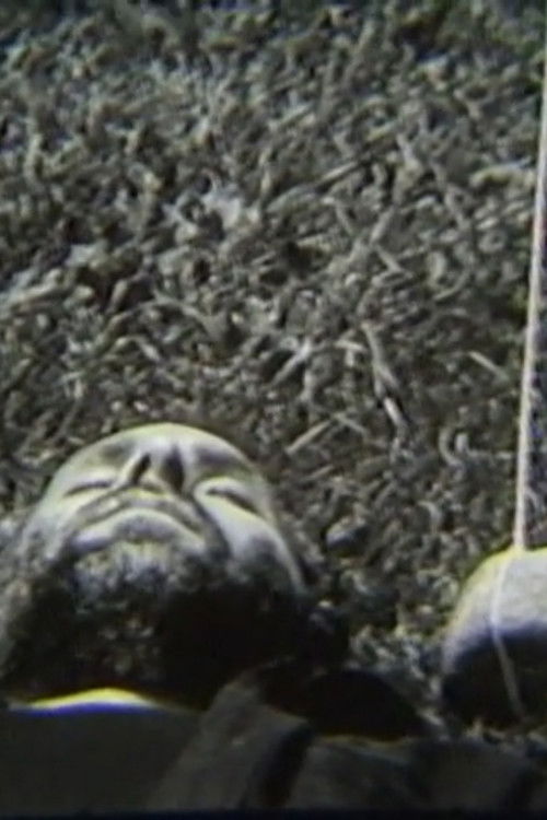 Rock/String (1980) poster