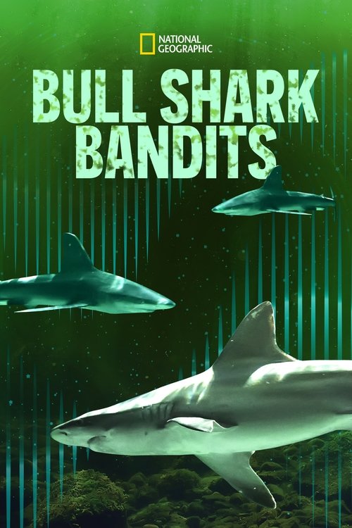 Bull Shark Bandits (2023) poster