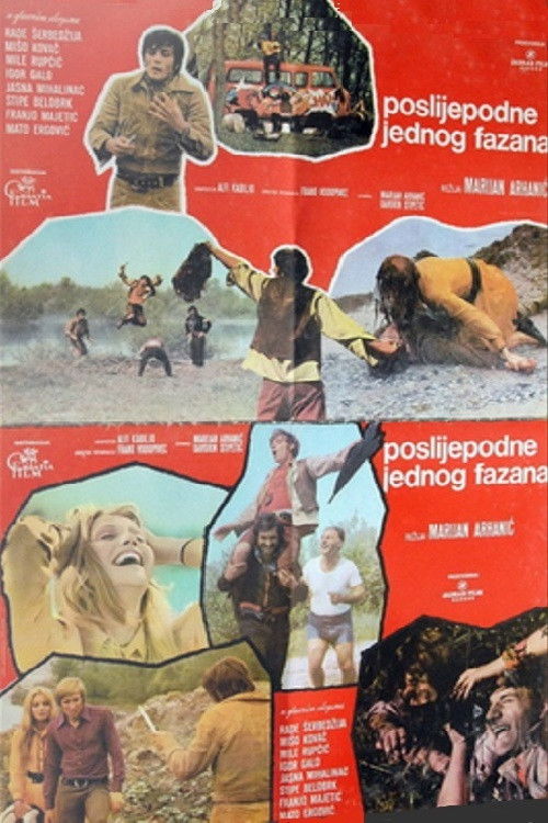 Afternoon of a Pheasant (1972) poster