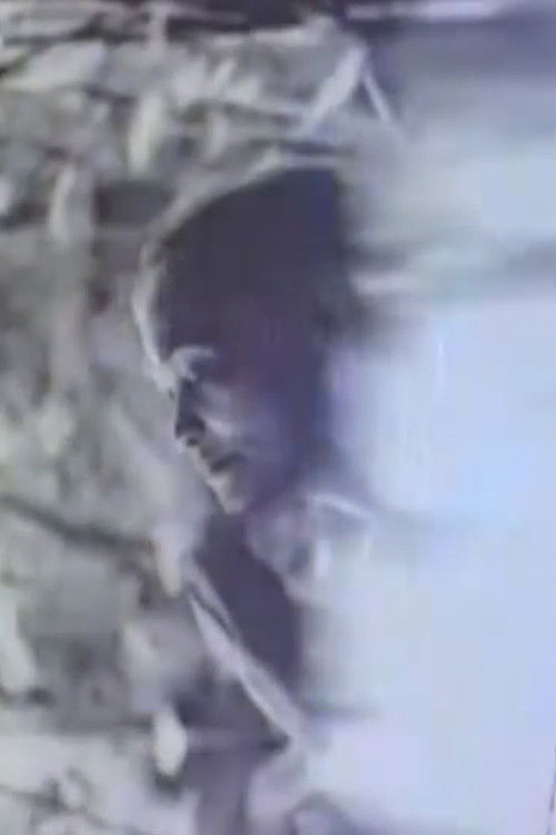 AGOSTO 9 (1994) poster