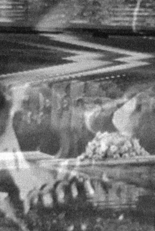 Underbelly Up (2018) poster