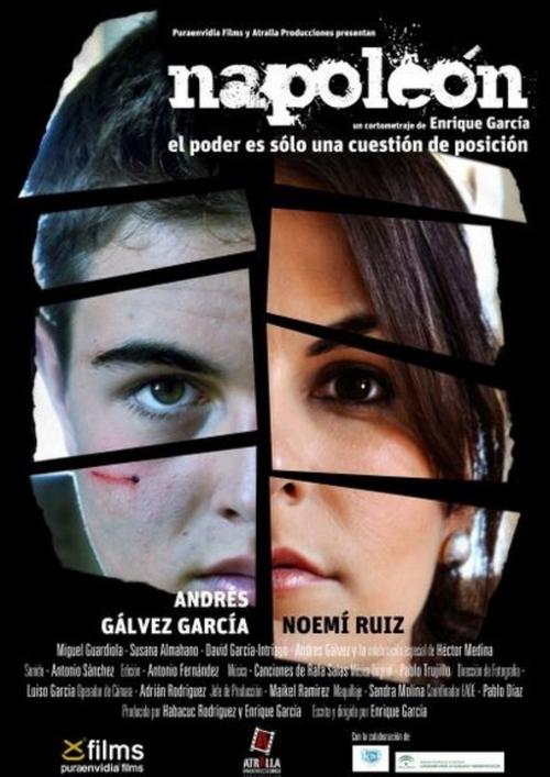 Napoleon (2013) poster