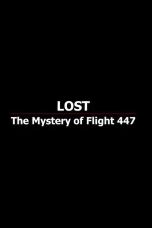 Lost: The Mystery of Flight 447 (2010) poster