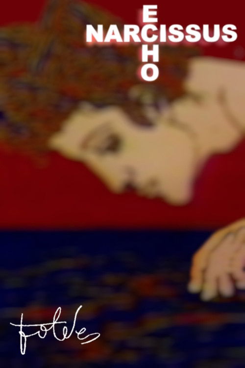 Narcissus-Echo (1971) poster