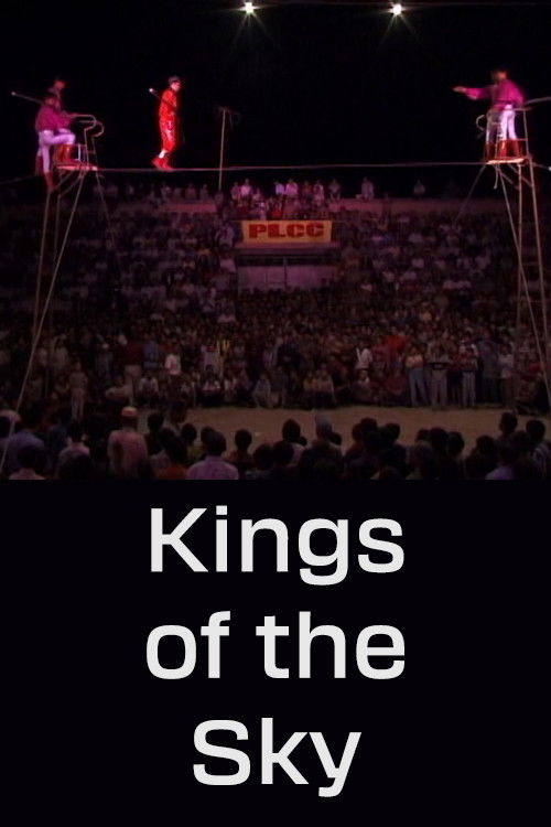 Kings of the Sky (2004) poster