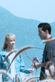 Internet Love (1998) poster