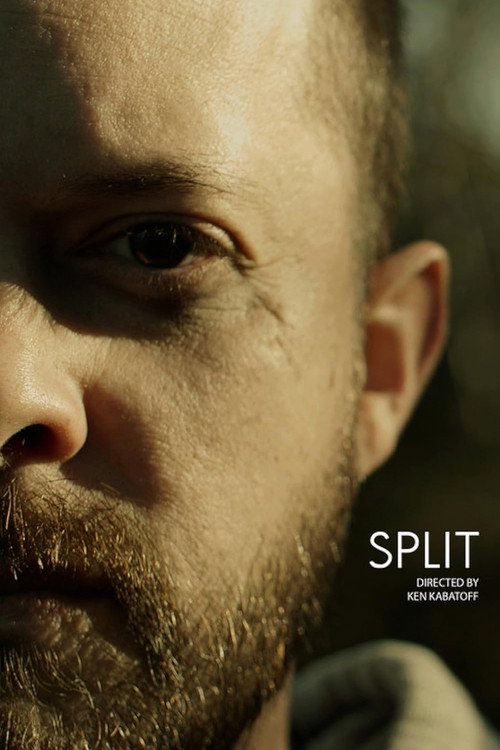 Split (2022) poster