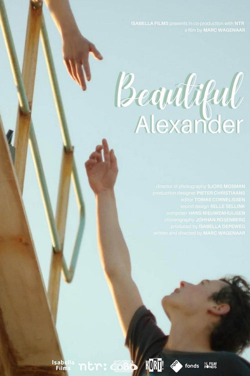Beautiful Alexander (2019) poster