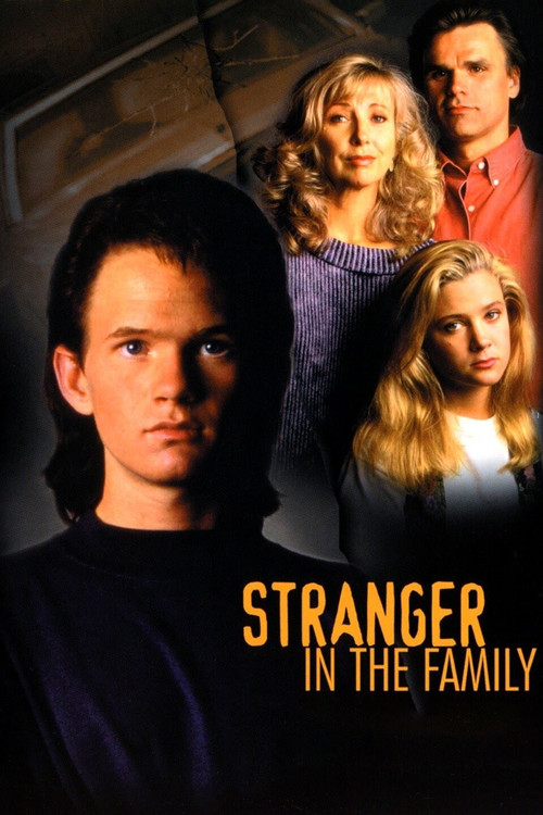 Stranger in the Family (1991) poster
