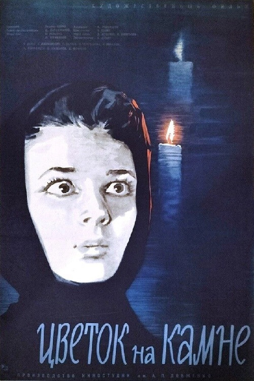 Цветок на камне (1963) poster