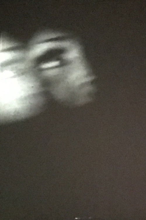 No stop grammatica (1966) poster