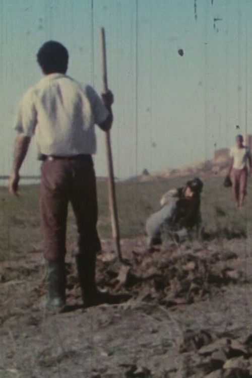 رود زهر (1975) poster